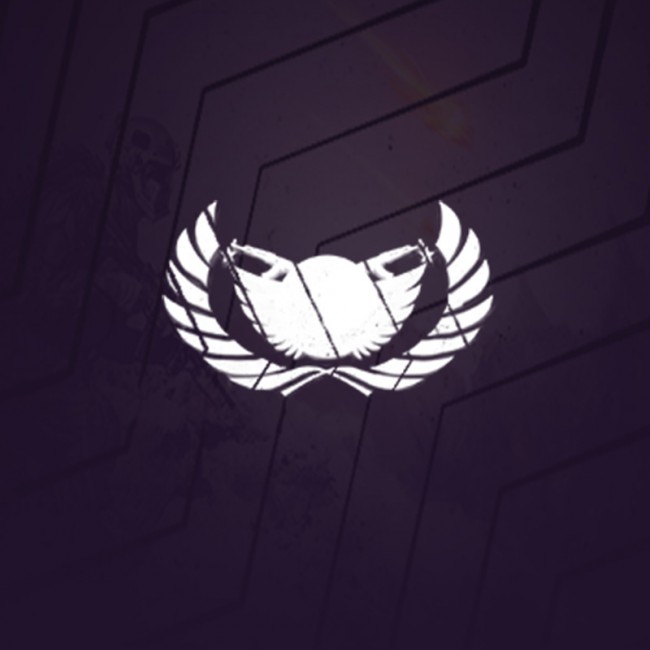 CS:GO Esportal Rank Boosting Service